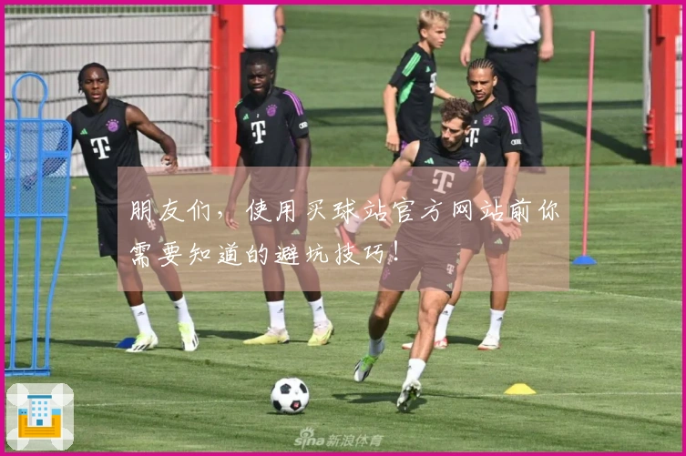 朋友们，使用买球站官方网站前你需要知道的避坑技巧！